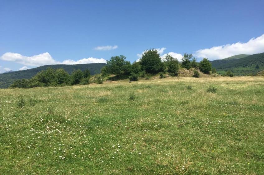 Lucia e Renzo - foto 28