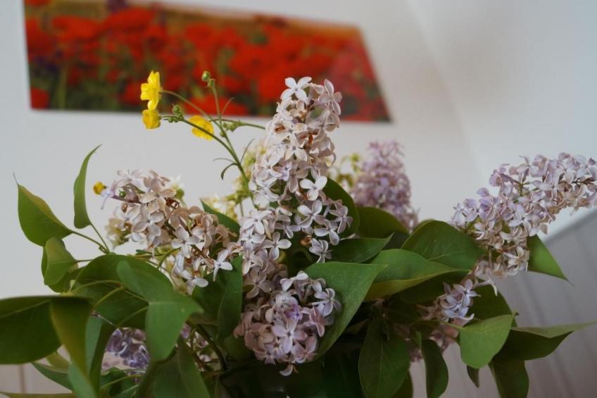 Haus Cristina - foto 2