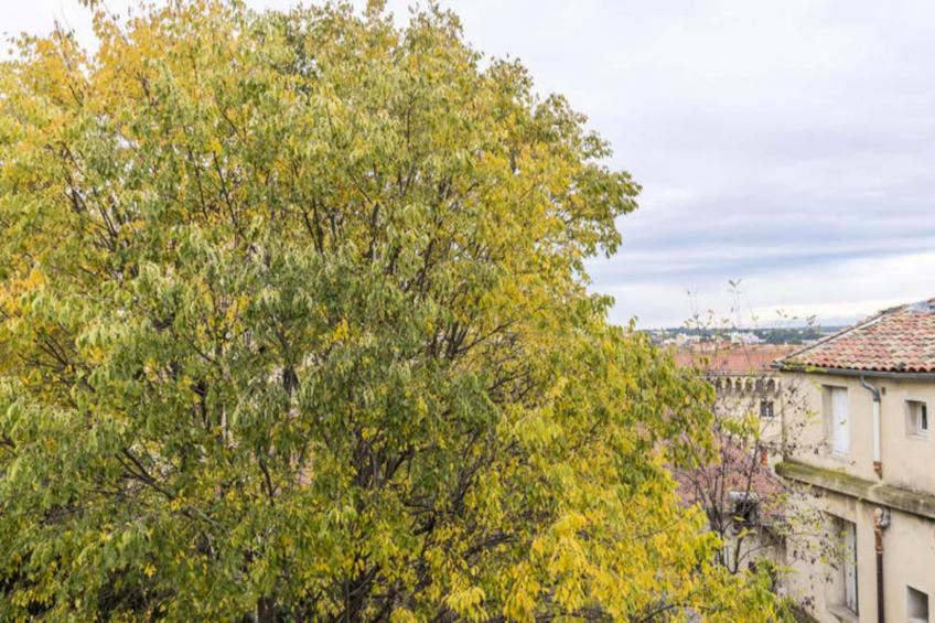 Appartements à Montpellier - foto 32