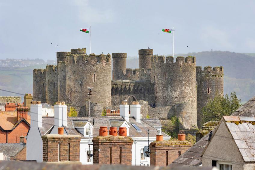 Ty Pen Y Bryn, Castle Views - foto 4
