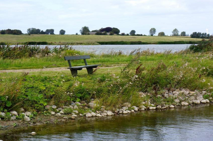 BF-DPDMV - foto 10