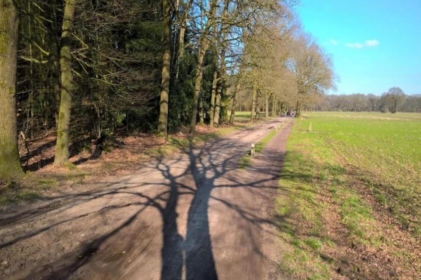 Wildzicht 253 - foto 22