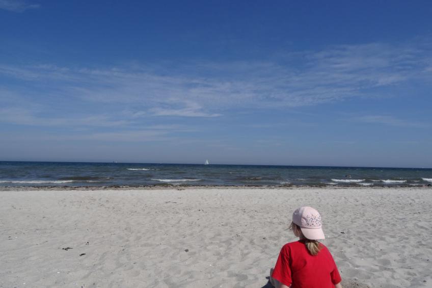 Urlaub am Meer im Ferienhaus mit Sauna - foto 7
