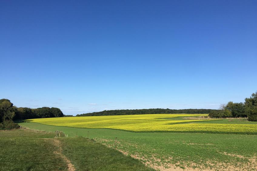 Logeren bij Laura - foto 25