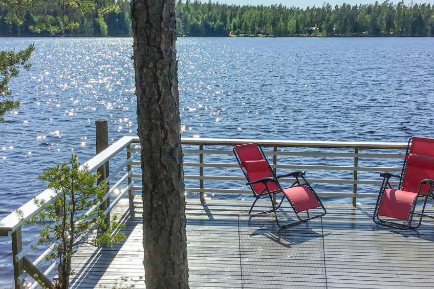Näsinjoutsen - foto 20