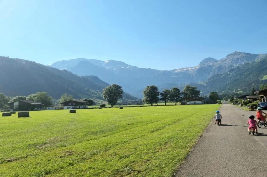 Salvisberg - foto 35