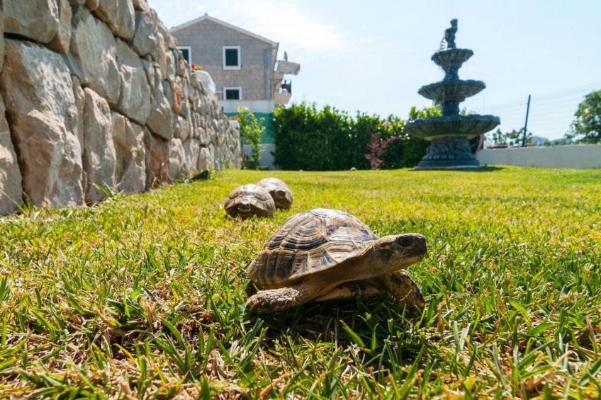 Villa "Roko" mit Whirlpool - foto 22