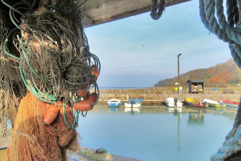 "Kaija" - 15m from the sea in Bornholm - foto 3