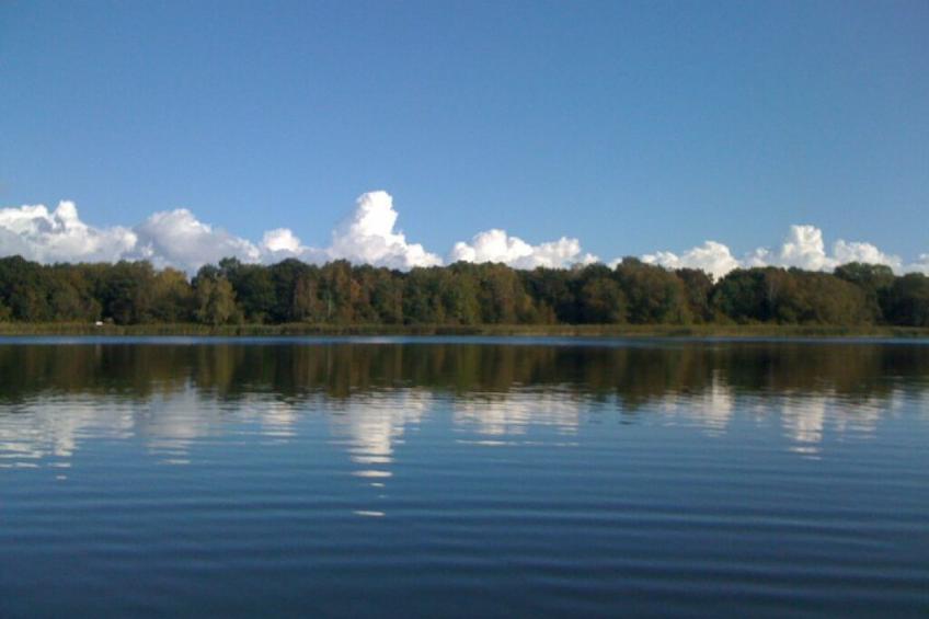 135947 - foto 16