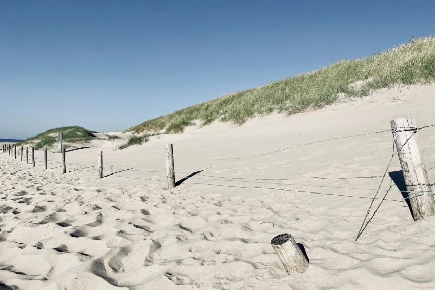 de Biotoop - foto 30