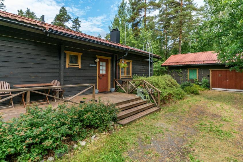 Metsä-iivari - foto 23