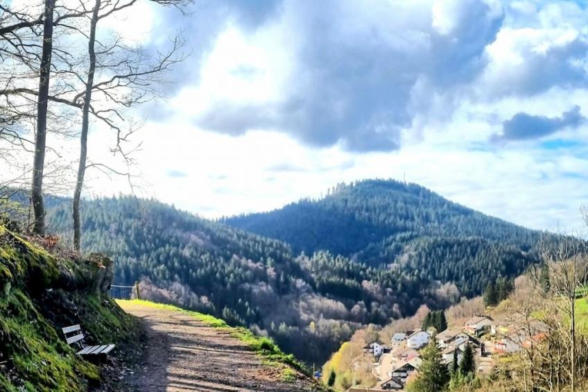 467212 - foto 23