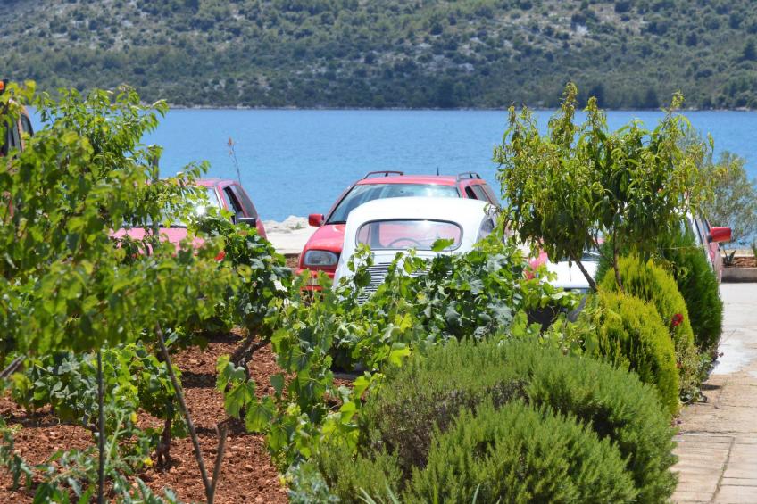 Erdgeschosswohnung, erste Reihe vom Meer - foto 32