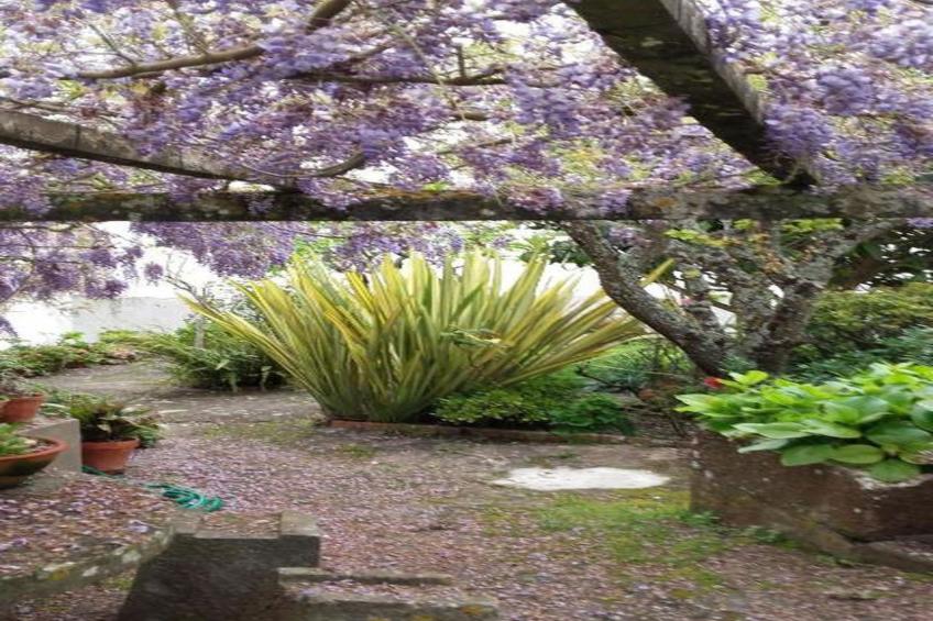 Historisches Haus in der Nähe des historischen Dorfes von Óbidos - foto 39