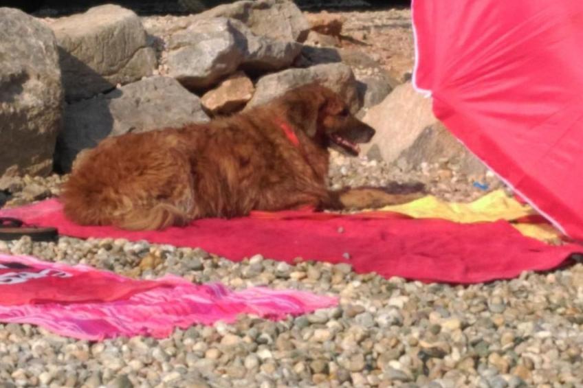 Wohnung in Rijeka mit Terrasse und Grill - foto 23