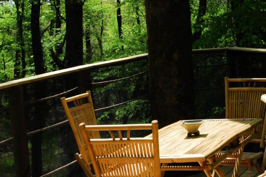 Parc de la Belle - foto 15