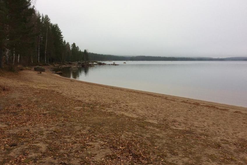 Haus Gård Solhag - foto 31