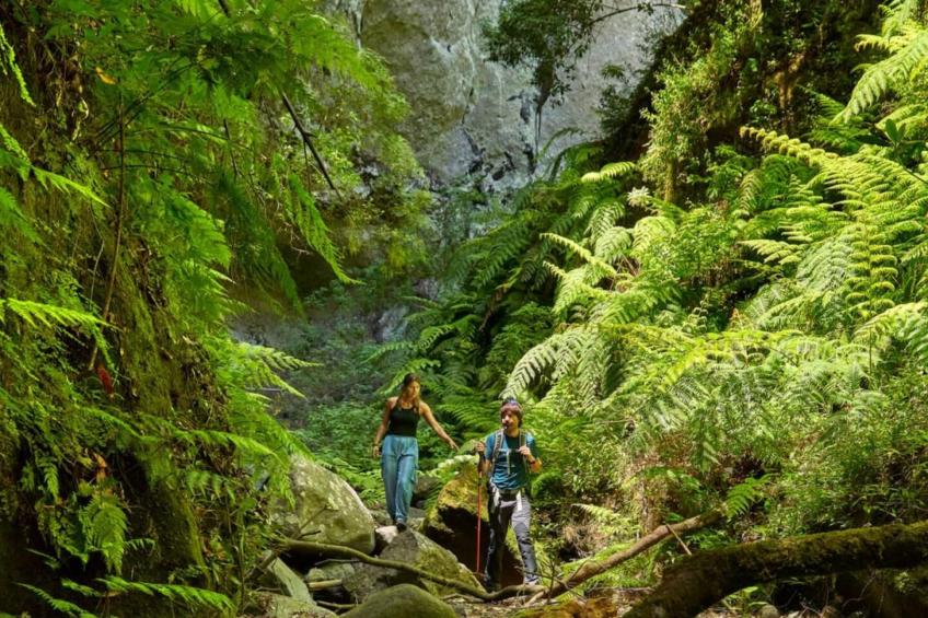 Haus Stadt La Palma 2BedR - foto 38