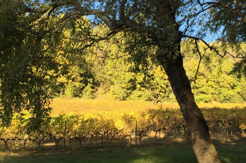 "Eutherpes Haus" - foto 38