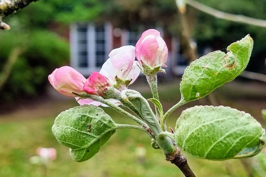 Urlaub auf dem Reithof mit Klavier - foto 18