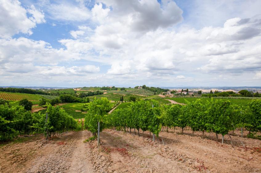 Il Poggiale-app6 - foto 19