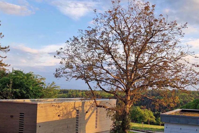 Tinyhaus Adam - foto 5