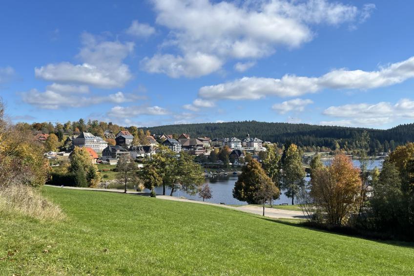 Sonnige Aussichten - foto 8