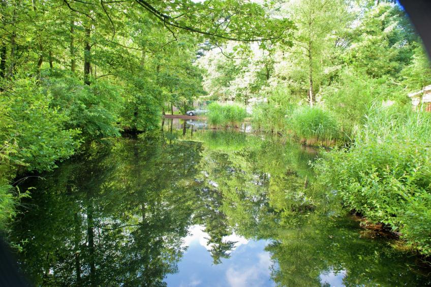Vakantiepark de Berkenhorst 12 - foto 16