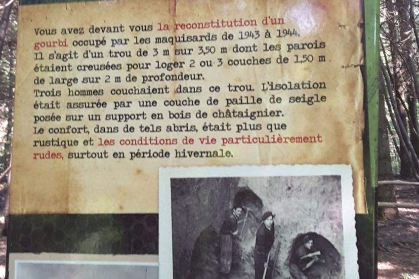 direkt am Strand - foto 48