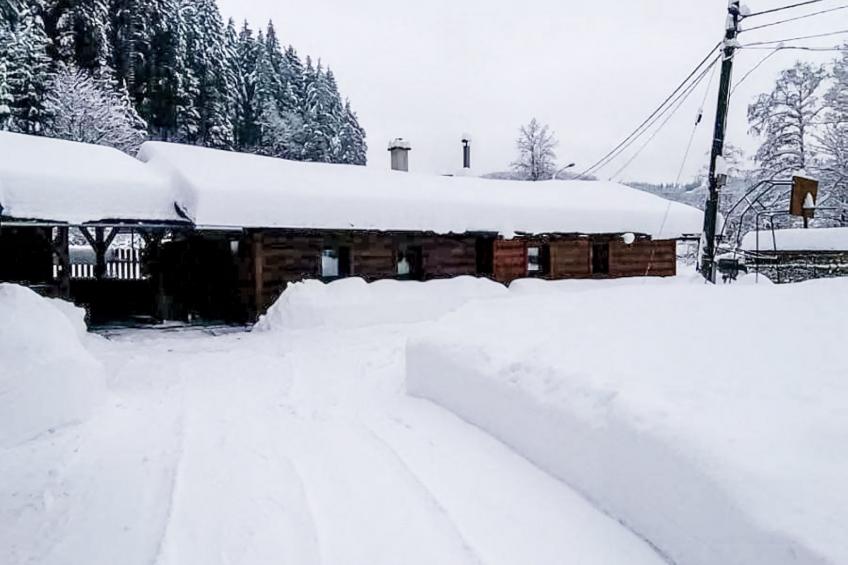 U Jelení obory - foto 15