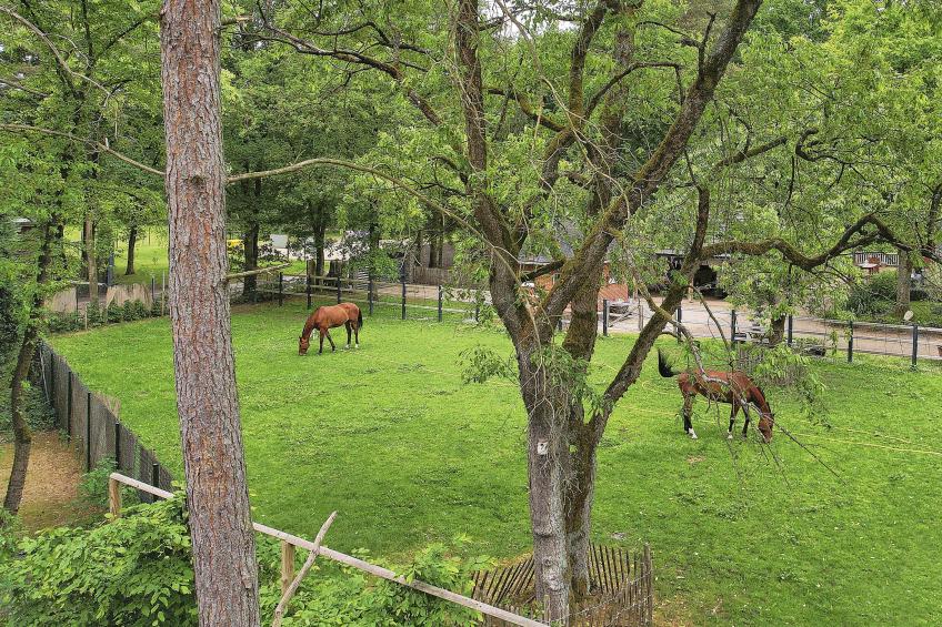 De Eekhoorn - foto 40