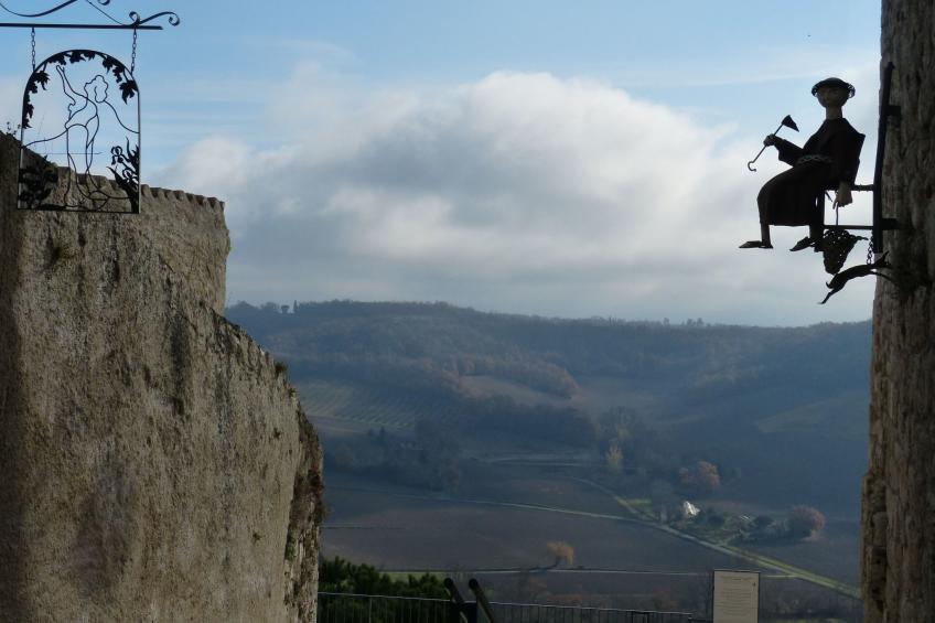 La Ferme des Paons - foto 40