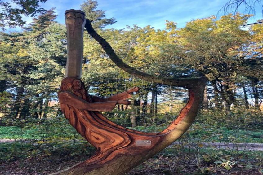 Landgoed Eysinga State - foto 37