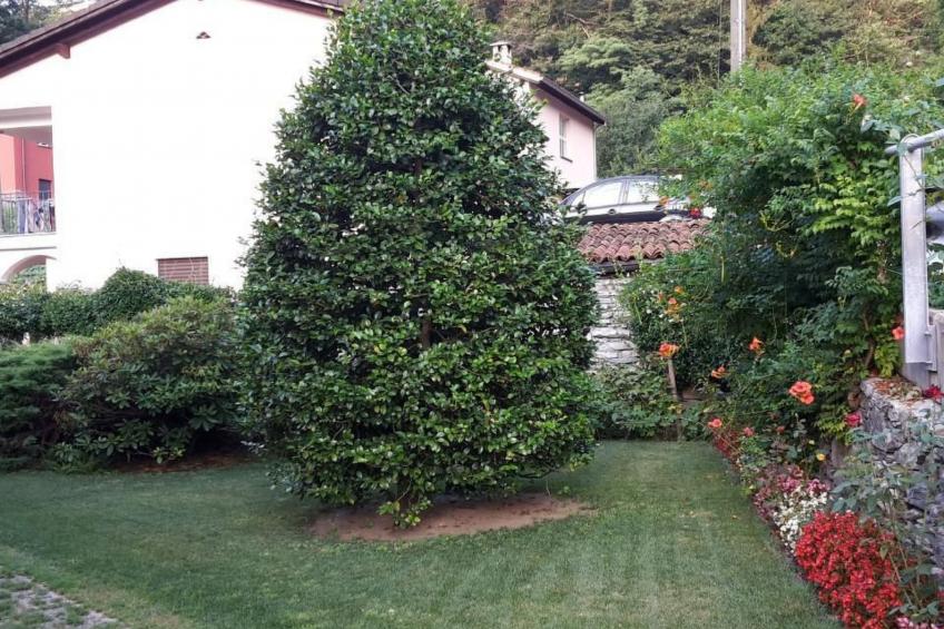 Al Colombajo - foto 15