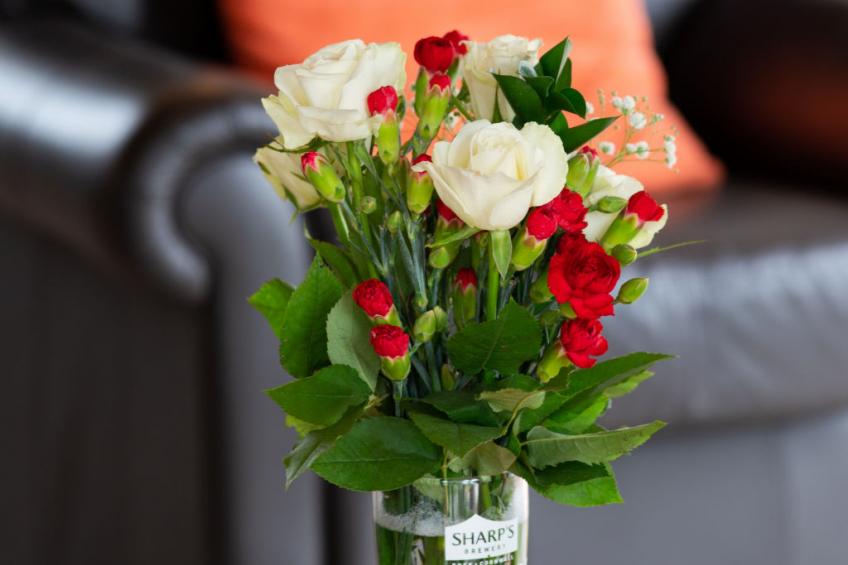 Whitsand Bay Lodge - foto 13