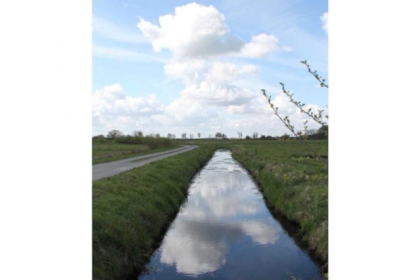184485 - foto 37