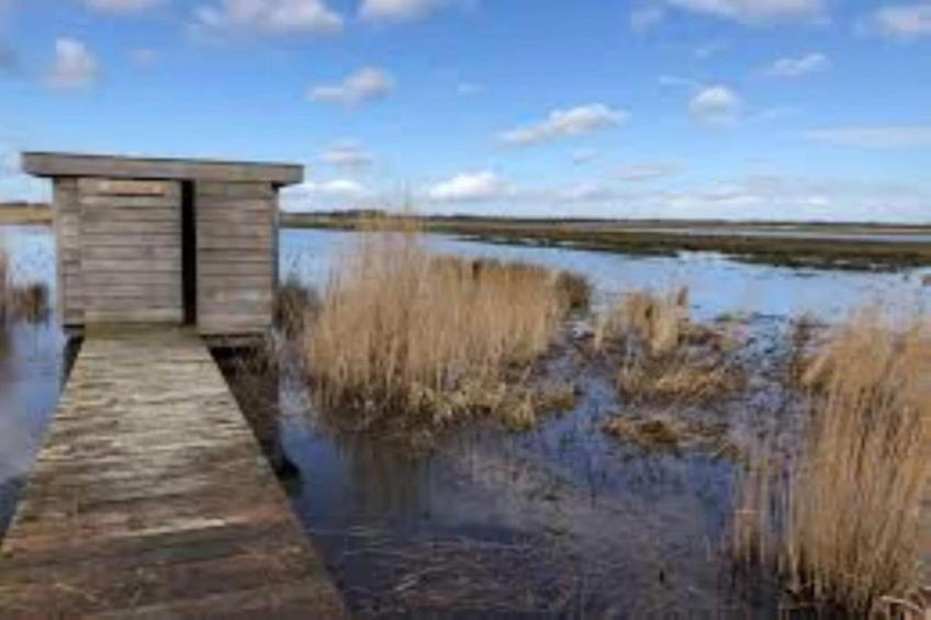 Twee Glamour tenten "Kreas" en "Smuk" naast elkaar - foto 40