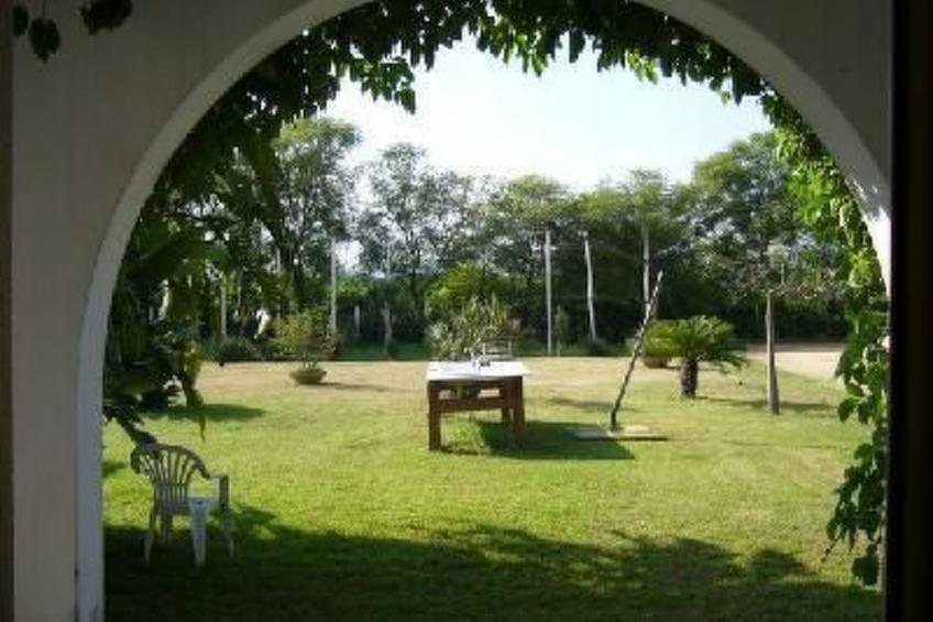 Cuore di Palme Bilo - foto 6