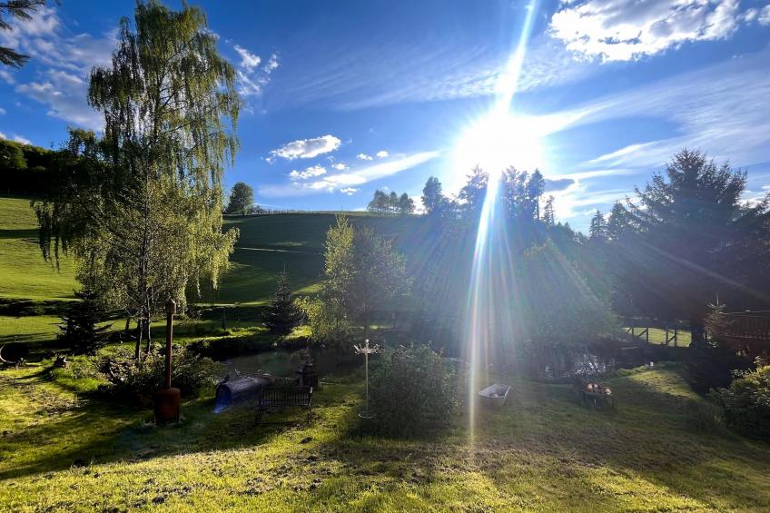 Am Damwildgehege II - foto 28