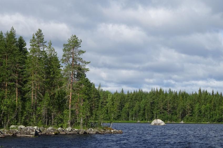 Solbacken Cottage - foto 33