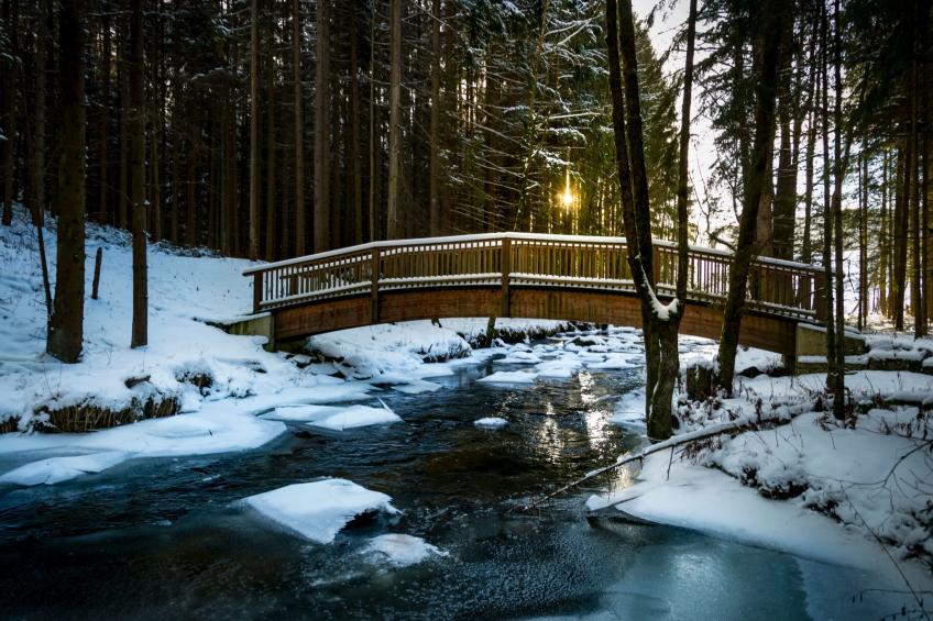 EXKLUSIVE FERIENWOHNUNG MIT EIGENER SAUNA - foto 10