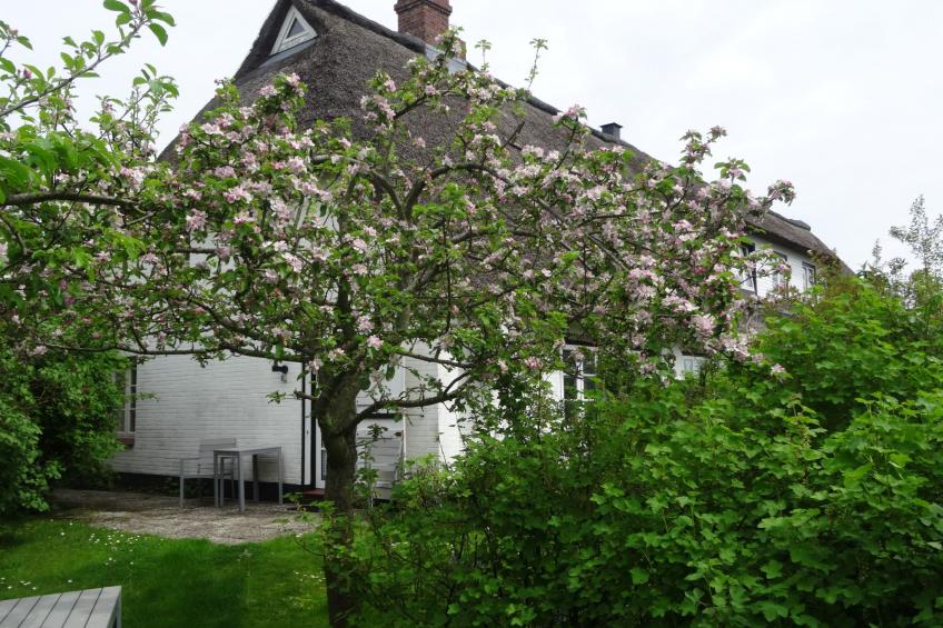 Geltinger Birk - foto 4