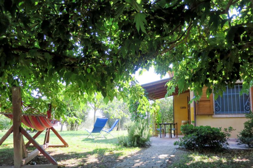 Agriturismo Podere Noé (ROC420) - foto 17