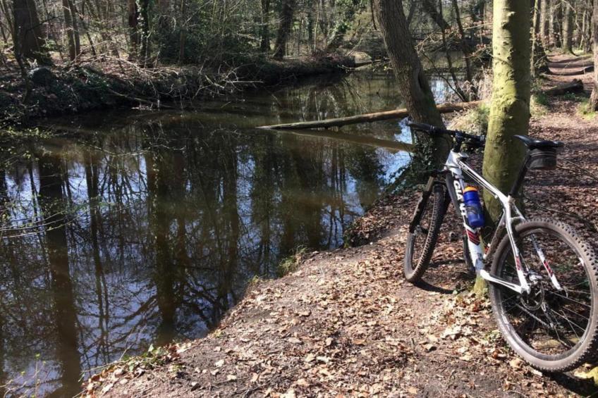 Halseweg 54 - foto 31