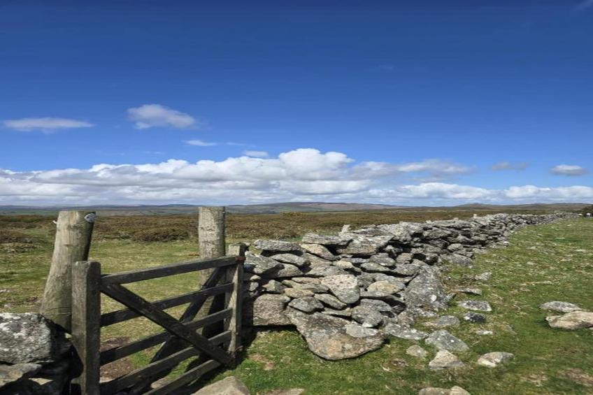 Little Dunley - Virginia Cottage - foto 7