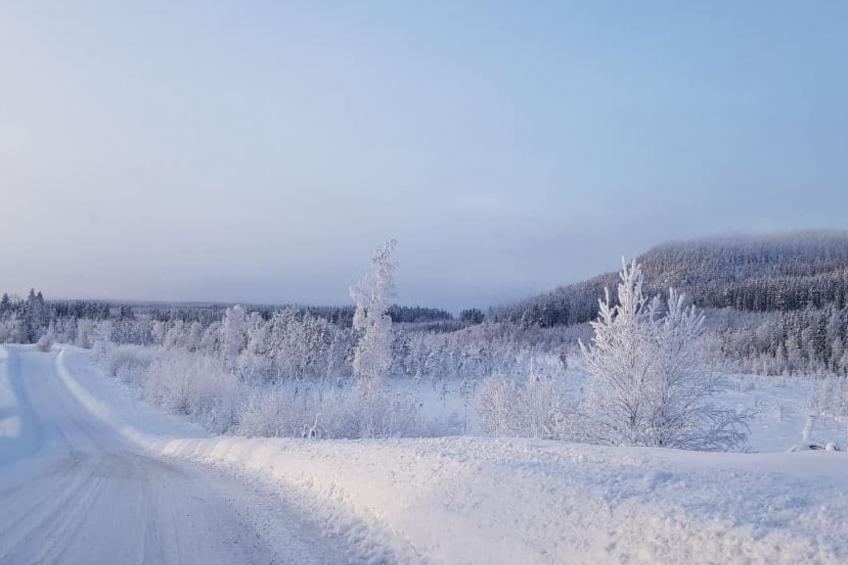 Gemütliches Ferienhaus Angermanland - höga Kusten - foto 38