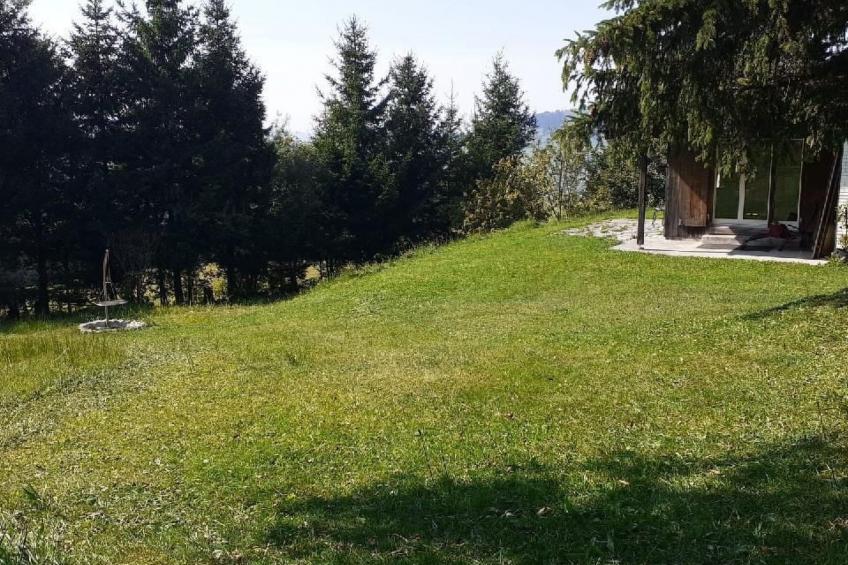 Soldanella - foto 26