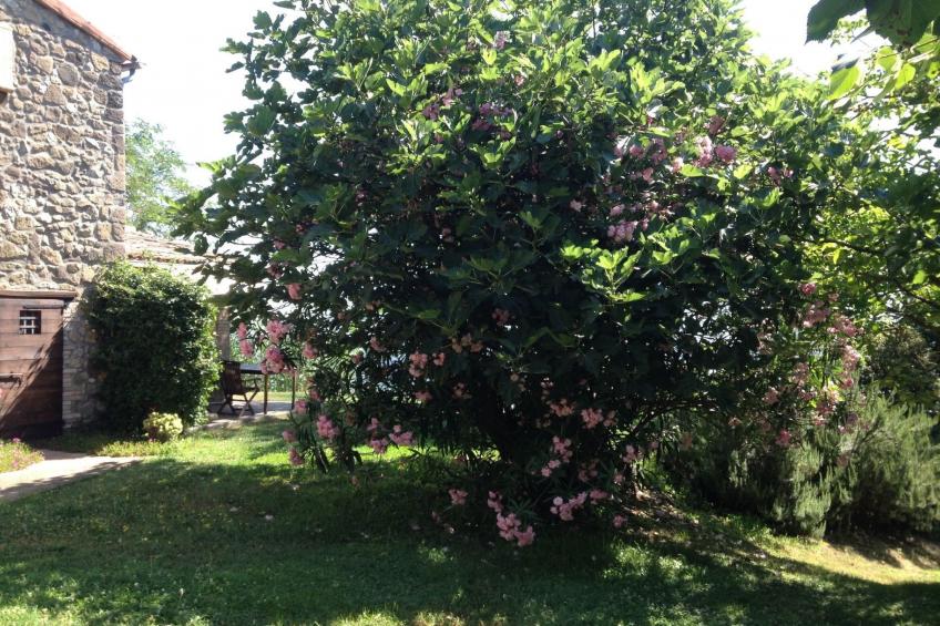 Casa Erika - foto 33