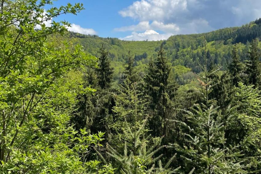 Haus Sonnenschein - foto 38