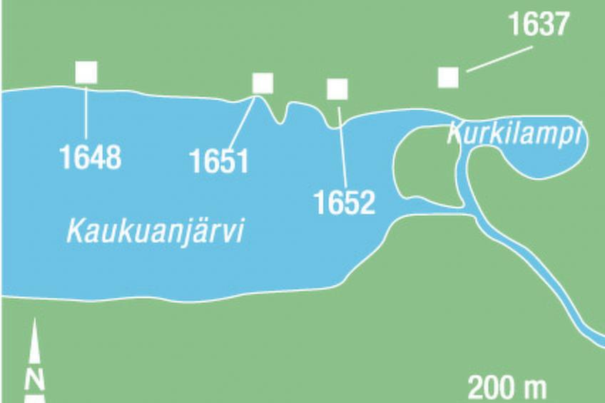 Iso marina - foto 12